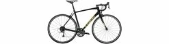 Trek Domane AL 2