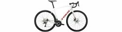 Trek Domane AL 3 Disc